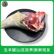 散养正宗黑山羊肉新鲜带皮生羊排新鲜羊肉羊肋排骨 羊腩 羊腿 山羊腿3斤【整块】