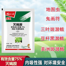禾益75%灭蝇胺杀虫剂花蕾蛆美洲斑潜蝇韭蛆大蒜蛆鬼画符地图虫 4克/袋