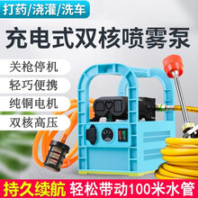 电动喷雾器农用手提式打药机弥雾机高压隔膜泵机器果树园林打药泵抽水机 双泵裸机顶配+5米高压管（无电池无充电器）