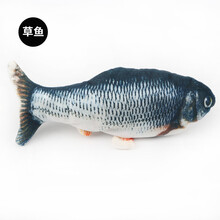 抖音同款 逗猫宠物玩具鱼电动鱼仿真电动跳跳鱼usb充电猫玩具婴幼儿童玩具 草鱼（usb款）