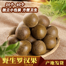 【顺丰直达】罗汉果广西桂林永福特产散装凉茶润喉茶干果新鲜罗汉果花茶批发 特大果40个（57-62mm）