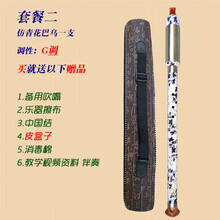 胶木竖吹仿红木巴乌A调降BC调G调F调小学生初学入门乐器 套餐二:竖吹仿青花G调巴乌+皮盒+