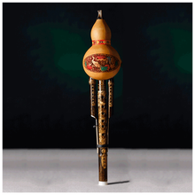 紫竹葫芦丝初学者中小学生乐器儿童零基础入门考级 降b/