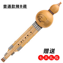 舒弗（LACHOUFFE）葫芦丝C调降BGFD调云南天然乐器学生学校成人初学练习乐器 降B调+8礼包