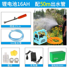 宝沾 手提式打药机打药泵电动喷雾器农用隔膜泵洗车机抽水机农药弥雾机喷雾机可充电 50米出水管（16安锂电池）手提泵（高压管）
