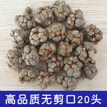 ℂ℘℘【云南文山三七狮子头】正宗云南文山春三七头 无剪口滑头田七 精选无剪口20头【狮子头】【6A】 三七【整个】【500g】