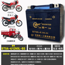 统一摩托车电瓶12v豪爵汤浅踏板YTX7A-BS钻豹12N7A三轮车干粉电池 12N9L-BS 三轮车跨骑车