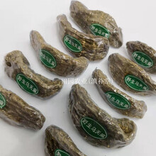 云南正宗纯野生天麻 昭通小草坝野生乌天麻 深山野外采挖产地直发 野生乌天麻/1公斤(效果佳)