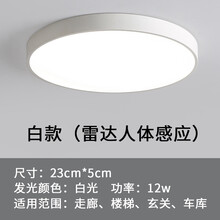 徕光 雷达声控led感应吸顶灯家用智能光控楼梯楼道走廊阳台入户雷达人体感应灯 雷达感应-圆形23cm白光12W