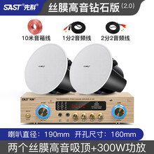 先科吸顶式5.1家庭影院音响电视家用客厅吊顶音箱KTV3d环绕立体嵌入式重低音功放套装背景音乐蓝牙 2.0(豪华钻石款套装）