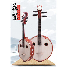中阮乐器花梨木酸枝中阮普及初学 考级 演出中阮民族乐器 轴荷花贝雕中阮