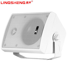 菱声（LINGSHENG） 菱声204壁挂音箱背景音乐系统公共广播教室超市店铺商场壁挂音响会议室音响 特价款20瓦白色