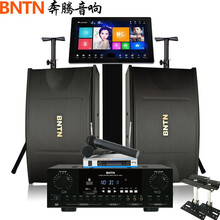 奔腾(BNTN)点歌机家庭影院ktv音响组合功放套装家用卡拉OK双系统一体机10吋低音 8200配450智能语音双系统