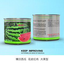 中科茂华 杂交西瓜种子 少籽巨龙懒汉栽培西瓜種子 瓜果蔬菜种子 大果大红瓤 不整枝不打叉花皮红瓤 少籽巨龙100克/盒