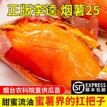 正宗烟薯25号山东蜜薯新鲜糖心红薯流油地瓜农家自种番薯5斤10斤 单果重3-5两 3斤