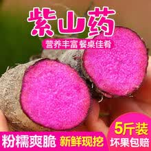 21年新果赣南紫山药新鲜蔬菜现挖农家脚板薯紫玉淮山紫色毛薯 5斤装(精选)