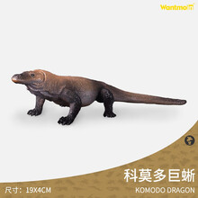 全球剧毒排行榜蝙蝠眼镜蛇巨蜥蜈蚣蜘蛛蝎子蜜獾动物模型 科莫多巨蜥 | 长19厘米