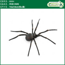 英国CollectA我你他仿真昆虫合集爬虫蝴蝶甲虫模型玩具儿童认知 88884黑寡妇蜘蛛2020新款