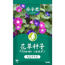 乐子君 大花牵牛花种子花草种子室外喇叭花爬藤阳台盆栽观花种子花籽花种四季开花盆栽四季播种种籽 大花牵牛花种子 混色5克约50粒