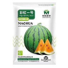 美农汇 小型礼品西瓜种籽山东全美2k4k小西瓜种子黄皮西瓜薄皮早春红玉小西瓜籽特色绿皮黄瓤西瓜种子 彩虹一号西瓜种子 100粒(果肉橙黄)