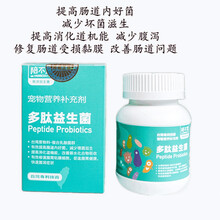 陪不累 犬猫通用生蚝精华增毛防掉毛粉幼猫成长营养补充 犬猫眼睛健康去除白内障鱼胶原软骨素益生菌 犬猫通用多肽益生菌40g/罐