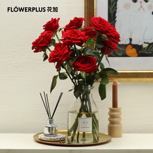 FlowerPlus花加优选基地直发水养鲜切花瓶插花桌面装饰清新礼物速递 预售 优选玫瑰10枝，颜色随机 下单后48h起陆续发货