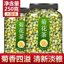 菊花茶去火胎菊清热解毒特级野生小胎白菊杭罐装凉茶降火明目花茶