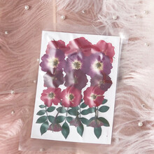 网红化妆贴脸上饰品眼角眼部拍照脸部装饰干花仙女贴纸闪粉贴花 玫瑰色 送脸胶 干花包