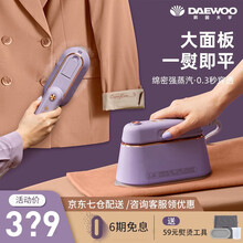 韩国大宇（DAEWOO）手持挂烫机熨烫机家用小型蒸汽熨斗便携式平烫熨衣服神器 灰藕紫