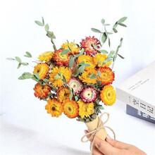 雏菊干花满天星花束真花风干ins装饰小清新客厅摆件diy文艺插花 雏菊20朵 干树枝