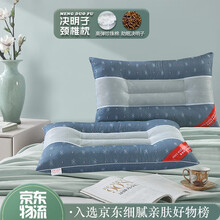 【一对装】枕头枕芯一对装 家用卧室两用成人枕头颈椎枕学生宿舍单人枕头芯酒店宾馆床上用品双人枕头低枕 决明子理疗枕蓝色一对装 42x65cm