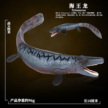 Oenux影版大号沧龙模型仿真动物史前海洋生物巨齿鲨鱼恐龙玩具男 实心海王龙