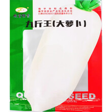 纳格兰九斤王特大白萝卜种子春秋播长白萝卜种孑农家盆栽萝卜蔬菜籽 九斤王萝卜种子原装20克*10包