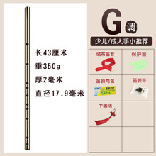 黄铜笛子纯铜加厚初学精制考级演奏GFEDC调金属横笛古风乐器 G调+全套配件