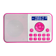 熊猫（PANDA）DS-172迷你音响插卡小音箱便携FM收音机老人袖珍mp3播放器播放机 【红色 + 8G歌卡含歌本】