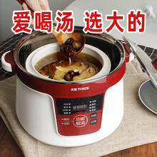 天际（TONZE） 电炖锅隔水炖一锅四胆3.5L大容量炖锅电炖盅煲汤锅DGD35-35CG 深红色