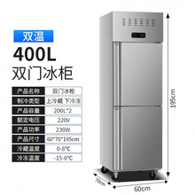 四六门冰箱商用展示柜冷藏冷冻双温厨房冰柜冷柜立式大容量保鲜柜SH 上下两门纯铜管 双温【冷冻+冷藏】