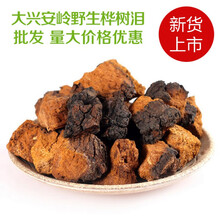 东北桦树泪桦褐孔菌大兴安岭白桦茸俄罗斯桦树茸切块500g