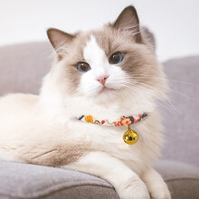 欢宠网 猫咪项圈猫铃铛猫咪泰迪小狗狗项圈铃铛圈脖圈 藏青铃铛