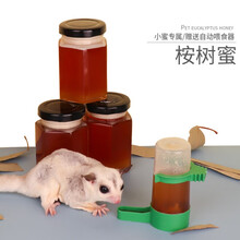 小囧家 蜜袋鼯零食桉树蜜营养蜜袋鼬蜜粮粮食用品主粮主食小蜜粮食喜欢吃的食物育肥亮毛小囧家 桉树蜜100ML
