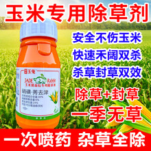 玉米除草剂苗后专用除草剂硝磺草酮莠去津玉米安全型一扫光除草剂 200ml