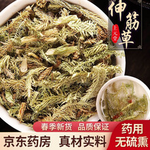 伸筋草 1克 中药材 需处方抓方 药房发货伸筋草中药饮片在线抓药中药抓中药拍方抓药kf 伸筋草