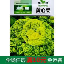 蔬菜种子大全阳台种菜香菜萝卜冬瓜种籽无土栽培秋冬四季易种耐寒 黄心菜