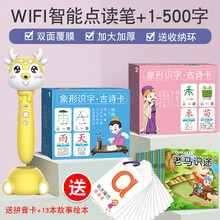 幼儿宝宝识字卡片3000字幼儿园学龄前儿童1-3-6岁宝宝看图识字学汉字早教启蒙儿童点读认字识字卡片 WiFi智能点读笔+500字+拼音+绘本
