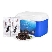 益参居-雷大参 大连广鹿岛深海辽参 即食海参 5斤  约42只  60克/只左右