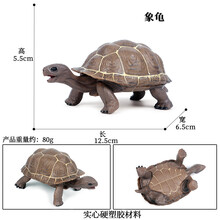 Oenux实心仿真海龟模型儿童认知海洋动物玩具静态塑胶摆件手办大号象龟乌龟陆龟 M-508象龟