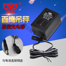 百鹰电子吊钩秤吊磅外壳蓄电池充电器300kg500kg3T5T10行车称电瓶 3-50吨原装充电器