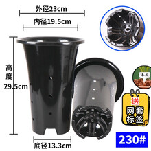 高宅 兰花盆  加厚  兰花花盆高塑料兰花盆君子兰虎皮兰铁皮石斛花卉绿植盆栽营养土 优质侧孔花盆230+托盘+网套插牌