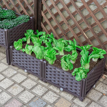 田田绿 家庭阳台种菜盆长方形蔬菜种植箱特大庭院户外楼顶种菜箱屋顶菜园大号花盆花箱塑料 3联长120宽40高23