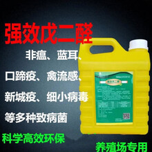 澳瑞特消毒液消毒剂消毒水猪牛羊圈鸡鸭鹅舍戊二醛狗兔鸽舍水产 戊二醛1桶